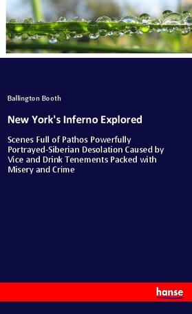 Booth |  New York's Inferno Explored | Buch |  Sack Fachmedien