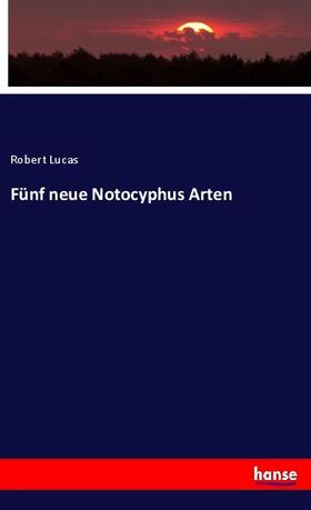 Lucas |  Fünf neue Notocyphus Arten | Buch |  Sack Fachmedien