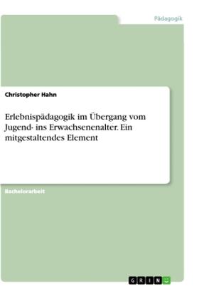 Hahn |  Erlebnispädagogik im Übergang vom Jugend- ins Erwachsenenalter. Ein mitgestaltendes Element | Buch |  Sack Fachmedien