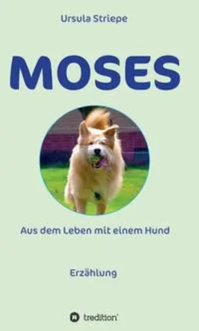 Striepe |  Moses - Aus dem Leben mit einem Hund | Buch |  Sack Fachmedien
