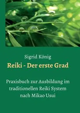 König |  Reiki - Der erste Grad | Buch |  Sack Fachmedien