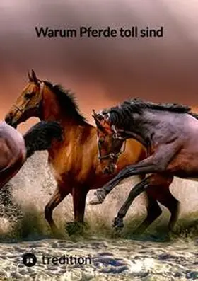 Moritz |  Warum Pferde toll sind | Buch |  Sack Fachmedien