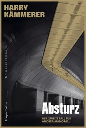 Kämmerer |  Absturz | Buch |  Sack Fachmedien