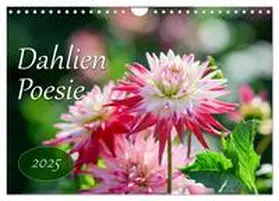 CALVENDO / Plett |  Dahlien Poesie (Wandkalender 2025 DIN A4 quer), CALVENDO Monatskalender | Sonstiges |  Sack Fachmedien