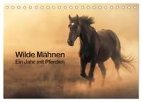 CALVENDO / R. Stuhlmann |  Wilde Mähnen: Ein Jahr mit Pferden (Tischkalender 2025 DIN A5 quer), CALVENDO Monatskalender | Sonstiges |  Sack Fachmedien