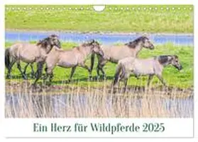 CALVENDO / Plett |  Ein Herz für Wildpferde (Wandkalender 2025 DIN A4 quer), CALVENDO Monatskalender | Sonstiges |  Sack Fachmedien