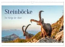 CALVENDO / Kramer |  Steinböcke - Die Könige der Alpen (Wandkalender 2025 DIN A3 quer), CALVENDO Monatskalender | Sonstiges |  Sack Fachmedien