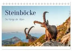 CALVENDO / Kramer |  Steinböcke - Die Könige der Alpen (Tischkalender 2025 DIN A5 quer), CALVENDO Monatskalender | Sonstiges |  Sack Fachmedien