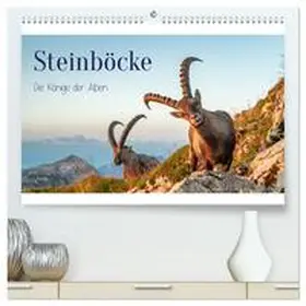 CALVENDO / Kramer |  Steinböcke - Die Könige der Alpen (hochwertiger Premium Wandkalender 2025 DIN A2 quer), Kunstdruck in Hochglanz | Sonstiges |  Sack Fachmedien