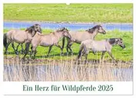 CALVENDO / Plett |  Ein Herz für Wildpferde (Wandkalender 2025 DIN A2 quer), CALVENDO Monatskalender | Sonstiges |  Sack Fachmedien
