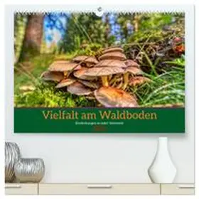 CALVENDO / Irmer |  Vielfalt am Waldboden (hochwertiger Premium Wandkalender 2025 DIN A2 quer), Kunstdruck in Hochglanz | Sonstiges |  Sack Fachmedien