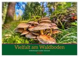 CALVENDO / Irmer |  Vielfalt am Waldboden (Wandkalender 2025 DIN A2 quer), CALVENDO Monatskalender | Sonstiges |  Sack Fachmedien