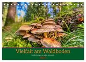 CALVENDO / Irmer |  Vielfalt am Waldboden (Tischkalender 2025 DIN A5 quer), CALVENDO Monatskalender | Sonstiges |  Sack Fachmedien