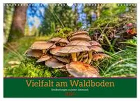 CALVENDO / Irmer |  Vielfalt am Waldboden (Wandkalender 2025 DIN A3 quer), CALVENDO Monatskalender | Sonstiges |  Sack Fachmedien