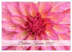CALVENDO / Plett |  Dahlien-Kronen (Wandkalender 2025 DIN A3 quer), CALVENDO Monatskalender | Sonstiges |  Sack Fachmedien