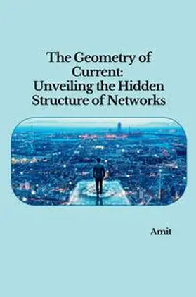 Amit |  The Geometry of Current: Unveiling the Hidden Structure of Networks | Buch |  Sack Fachmedien