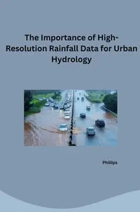 Phillips |  The Challenge of Time: Finding High-Resolution Rainfall Data for Urban Areas | Buch |  Sack Fachmedien