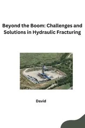 David |  Beyond the Boom: Challenges and Solutions in Hydraulic Fracturing | Buch |  Sack Fachmedien