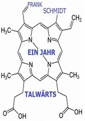 Schmidt |  ein Jahr talwärts | eBook | Sack Fachmedien