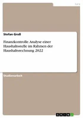 Groß |  Finanzkontrolle. Analyse einer Haushaltsstelle im Rahmen der Haushaltsrechnung 2022 | eBook | Sack Fachmedien