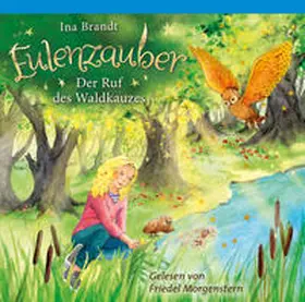 Brandt | Eulenzauber (11). Der Ruf des Waldkauzes | Sonstiges | 978-3-401-24118-0 | sack.de