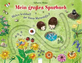 Wieker | Wohin krabbelt der kleine Marienkäfer? | Buch | 978-3-401-71388-5 | sack.de