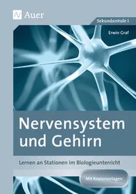 Graf |  Nervensystem und Gehirn | Buch |  Sack Fachmedien
