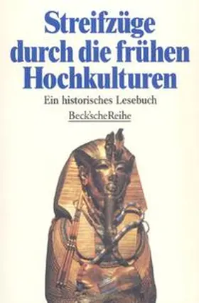 Steuer / Zimmermann |  Streifzüge durch die frühen Hochkulturen | Buch |  Sack Fachmedien