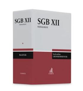 Oestreicher |  beck-online.GROSSKOMMENTAR zum SGB: SGB XII, ohne Fortsetzungsbezug | Loseblattwerk |  Sack Fachmedien