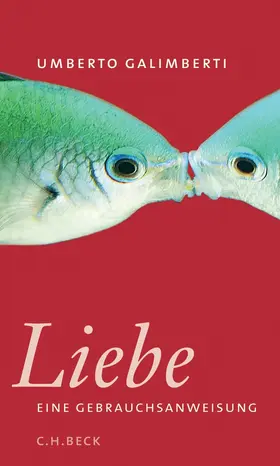 Galimberti |  Liebe. Eine Gebrauchsanweisung | Buch |  Sack Fachmedien