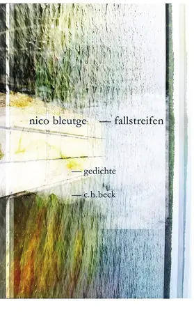 Bleutge |  Fallstreifen | Buch |  Sack Fachmedien