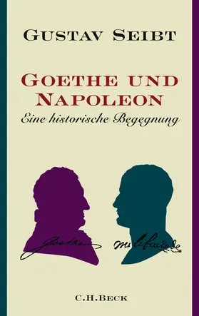 Seibt |  Goethe und Napoleon | Buch |  Sack Fachmedien