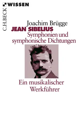 Brügge |  Sibelius´ Symphonien und Symphonische Dichtung | Buch |  Sack Fachmedien