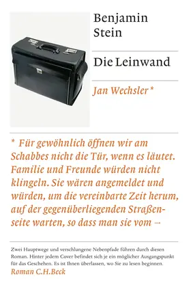 Stein |  Die Leinwand | Buch |  Sack Fachmedien