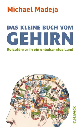 Madeja |  Das kleine Buch vom Gehirn | eBook | Sack Fachmedien