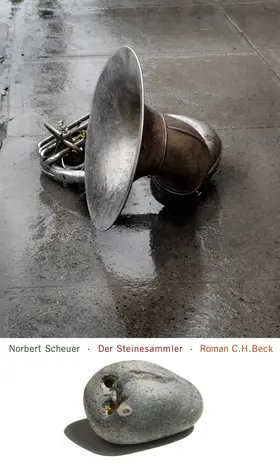 Scheuer |  Der Steinesammler | Buch |  Sack Fachmedien