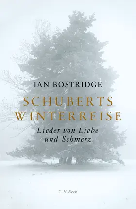 Bostridge |  Schuberts Winterreise | Buch |  Sack Fachmedien