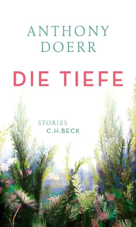 Doerr |  Die Tiefe | Buch |  Sack Fachmedien