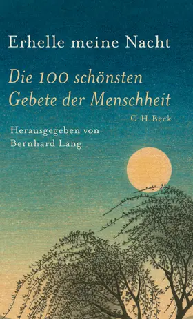 Lang |  Erhelle meine Nacht | Buch |  Sack Fachmedien