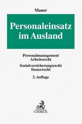 Mauer |  Personaleinsatz im Ausland | Buch |  Sack Fachmedien