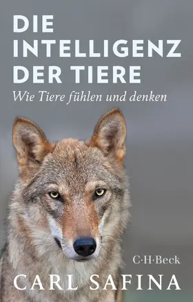 Safina |  Die Intelligenz der Tiere | Buch |  Sack Fachmedien