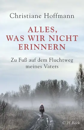 Hoffmann |  Alles, was wir nicht erinnern | Buch |  Sack Fachmedien