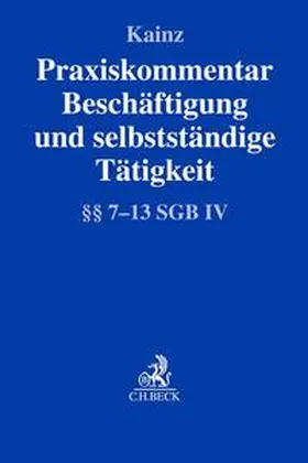 Kainz |  Praxiskommentar Beschäftigung und selbstständige Tätigkeit | Buch |  Sack Fachmedien