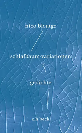 Bleutge |  schlafbaum-variationen | Buch |  Sack Fachmedien