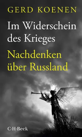 Koenen |  Im Widerschein des Krieges | Buch |  Sack Fachmedien