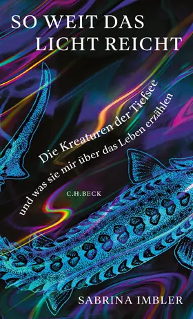 Imbler |  So weit das Licht reicht | Buch |  Sack Fachmedien