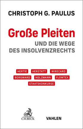 Paulus |  Große Pleiten | Buch |  Sack Fachmedien