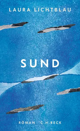 Lichtblau |  Sund | Buch |  Sack Fachmedien