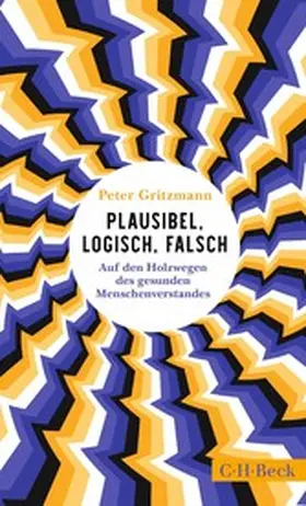 Gritzmann |  Plausibel, logisch, falsch | eBook | Sack Fachmedien