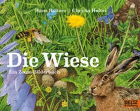 Baltzer / Holtei |  Die Wiese | Buch |  Sack Fachmedien